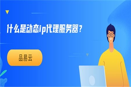 动态IP代理服务器与票务代理服务 概念、应用与差异解析